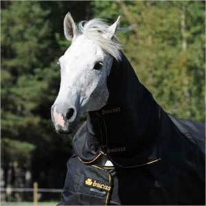 Horse wearing Bucas Irish Turnout neck cover for protection and warmth.