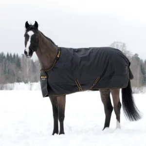 Horse wearing black and gold turnout blanket in snowy field.