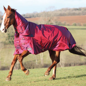 High-quality Shires Stormcheeta horse blanket with 2000 denier and 400 gm fill for weather protectio.