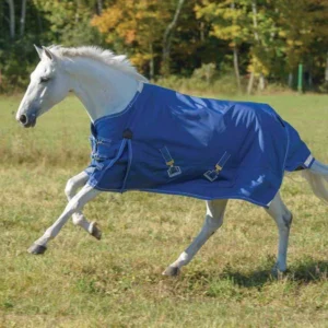White horse wearing a blue Shires Stormcheeta winter blanket in a grassy field.