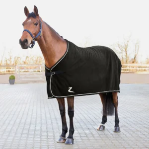 Horse with a black fleece show cooler, standing on a paved outdoor area.