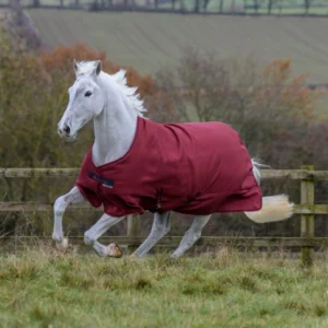 Horse blanket for pony turn-out, Bucas Freedom 150g, in red, outdoor riding gear.