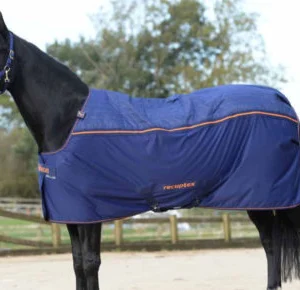 Horse wearing Bucas Therapy Turnout 300 waterproof blanket outdoors.