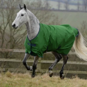 White pony wearing green Bucas Freedom Turnout 300g blanket outdoors.