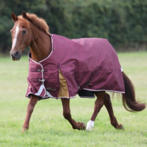 Waterproof horse blanket for Shires Highlander Plus 100g, ideal for outdoor riding and stable protec.