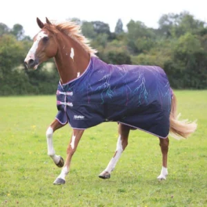 Horse wearing a purple lightning-patterned turnout blanket in a grassy field.
