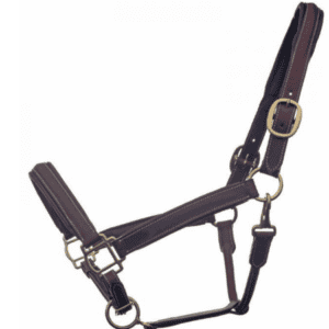 High-quality padded leather horse halter for comfort and durability.
