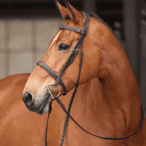 High-quality Shires Ocala Avignon bridle with reins for comfortable riding and control. Perfect for.