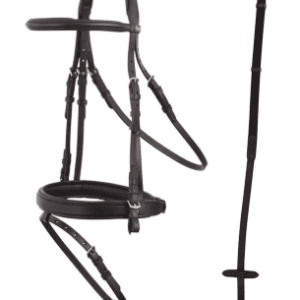 Elegant Premiere Metz bridle with rose gold imitation diamonds and web reins for stylish riding.