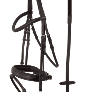 Elegant dressage bridle with web reins and white accents for refined riding. Perfect for competition.