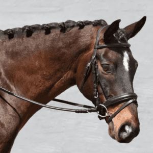 Close-up of a horse wearing Bobbi's English Crank Bridle with leather reins.