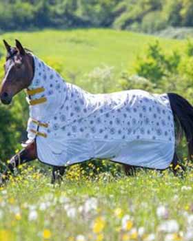 Horse wearing a protective blanket in a lush green field.