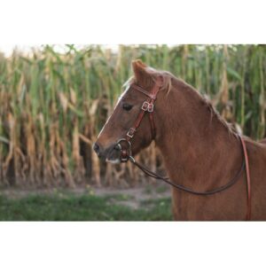 Western Rawhide Pony Bridle & Reins Set