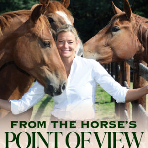 From The Horses Point of View