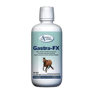 Omega Alpha Gastra FX