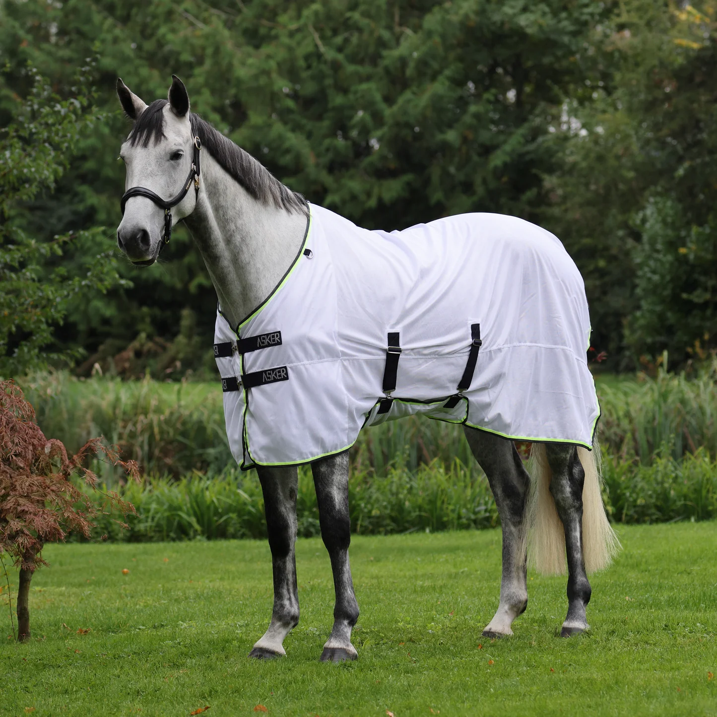 Shires - Asker fly sheet