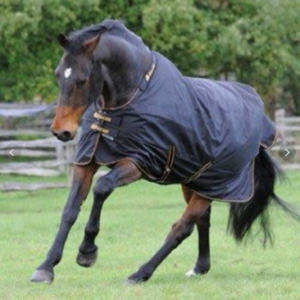 Bucas Irish Rain Turnout Blanket 0 g