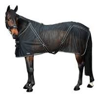 Back on Track- Sienna Cooler Rug