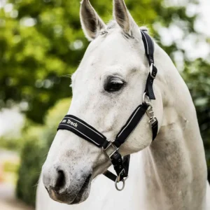 Back on Track Reflective Werano Halter