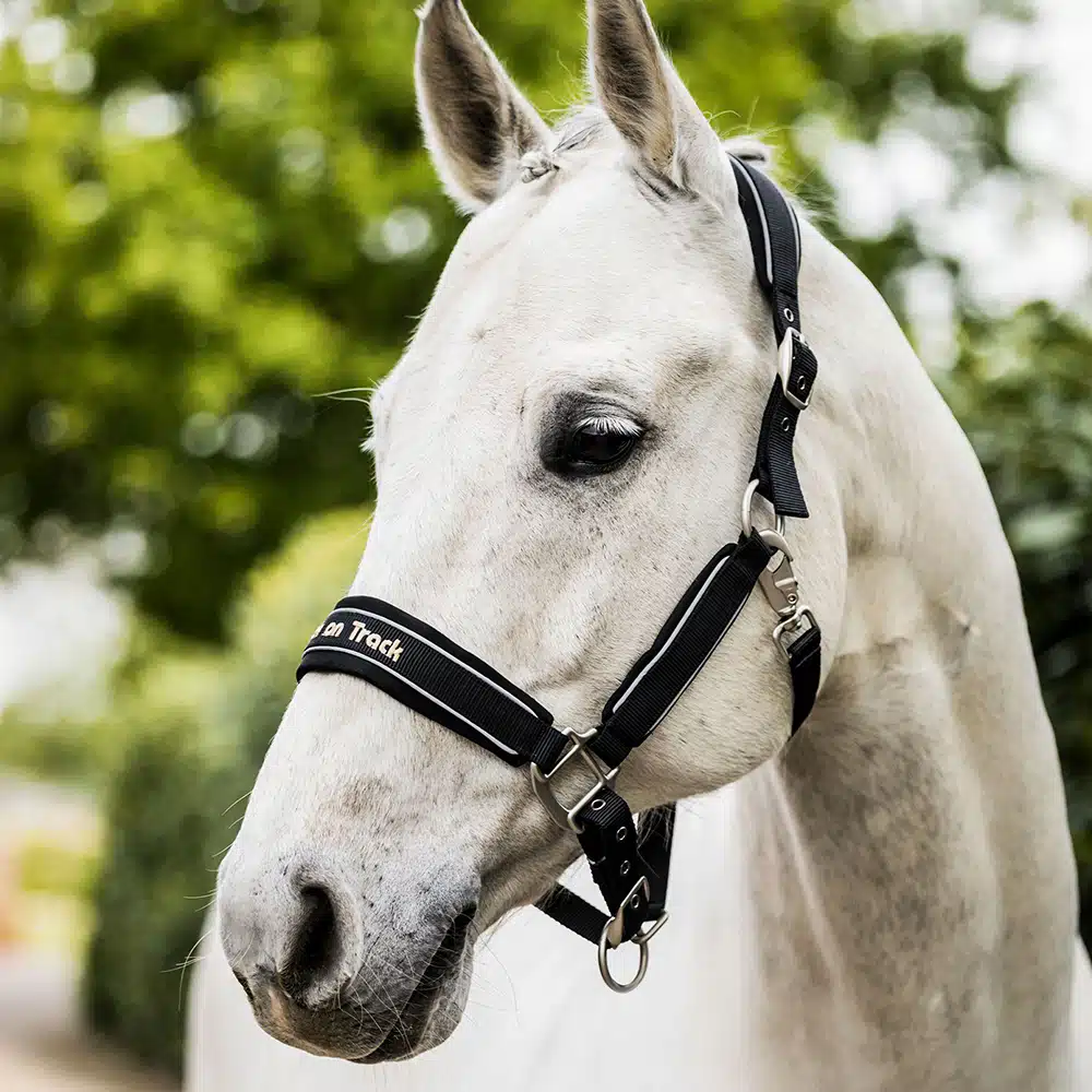 Back on Track Reflective Werano Halter