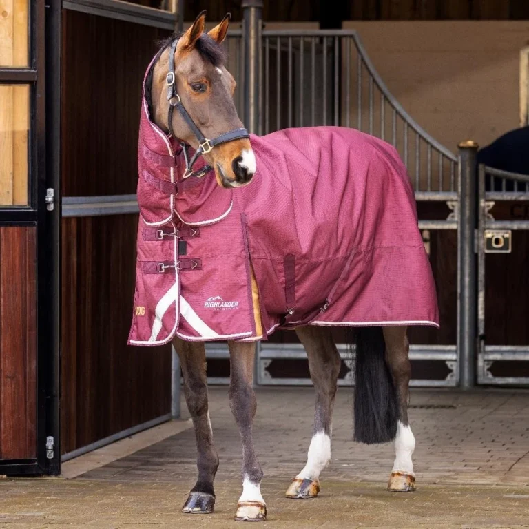 Shires Highlander Plus 100 Combo Turnout Rug